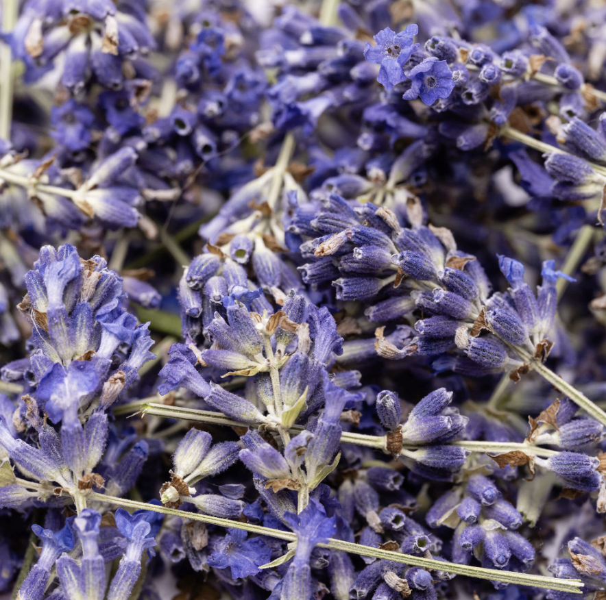 Liofilizirana sivka - slika 2