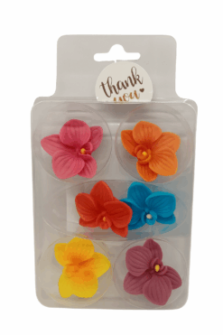 Sladkorna dekoracija orhideja pisana (Todekor)