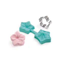 Model za izrez s silikonskim modelčkom za odtis Silikomart - potonika