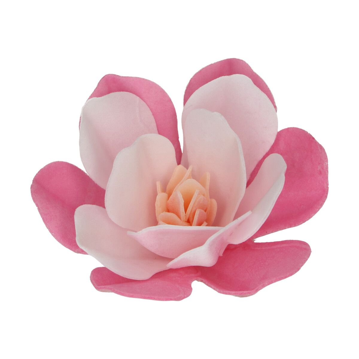 Wafer dekoracija rožice - magnolije (Funcakes)