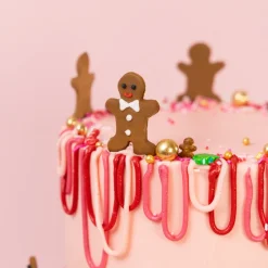 Sladkorna dekoracija medenjak (Happy Sprinkles) - slika 3